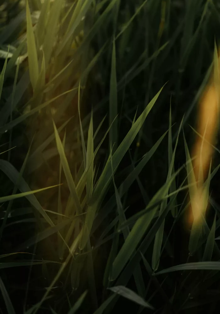 luke-miller-NmJEXY1GQy4-unsplash