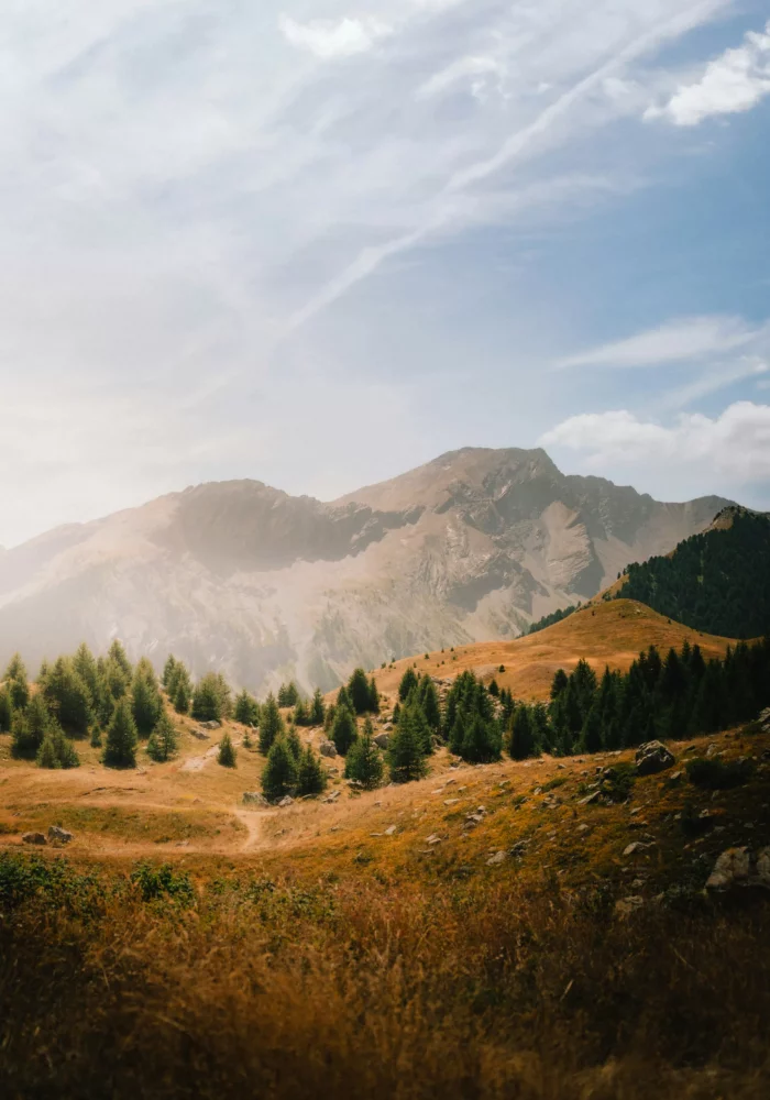 daniel-j-schwarz-zBidJdBbNVI-unsplash